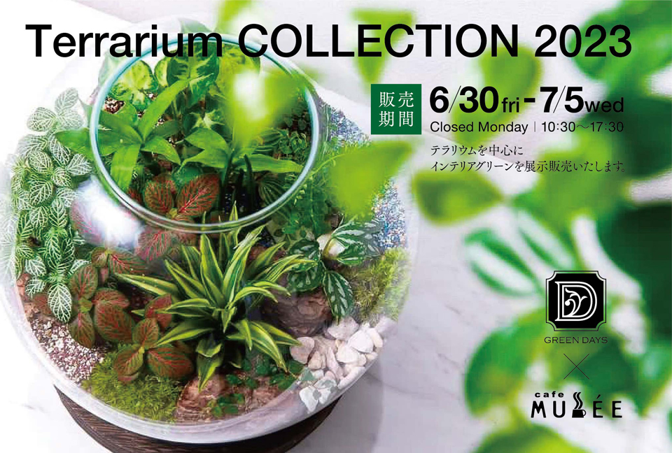 6/30〜7/5 Terrarium COLLECTION 2023